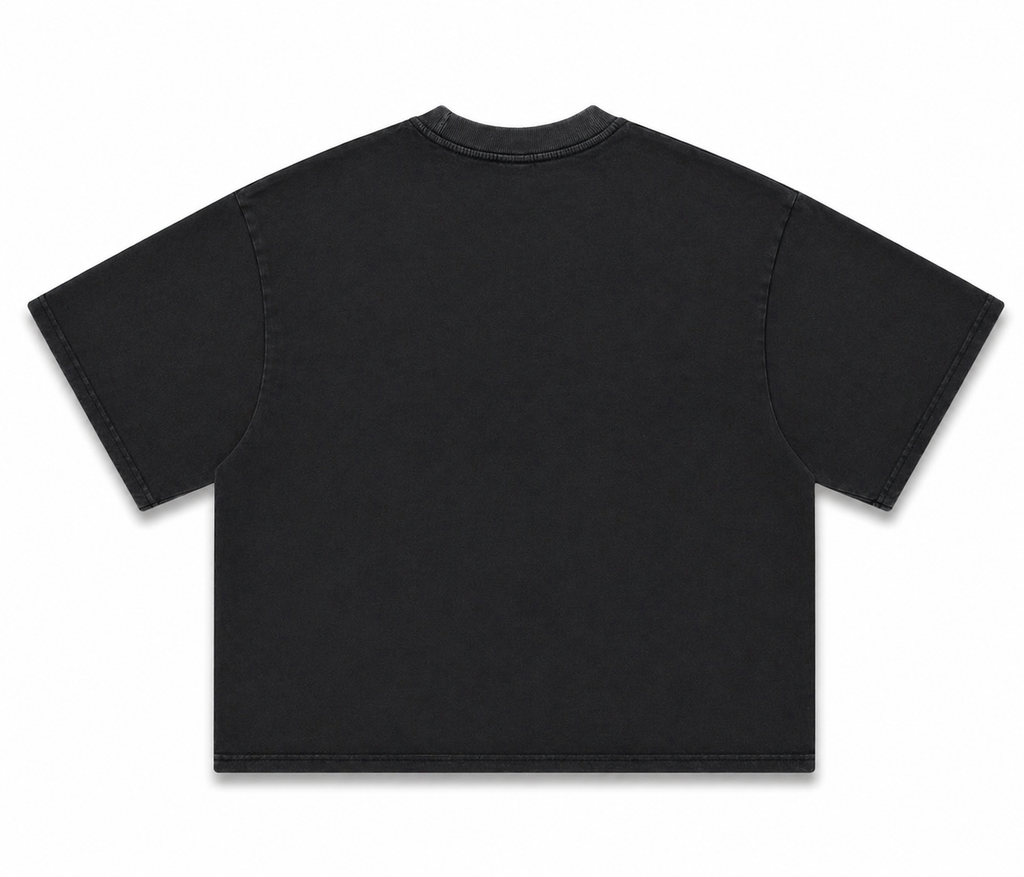 T-shirt seul de dos T-shirt gris délavé oversize streetwear paris vêtement unisexe — DIFFERENT