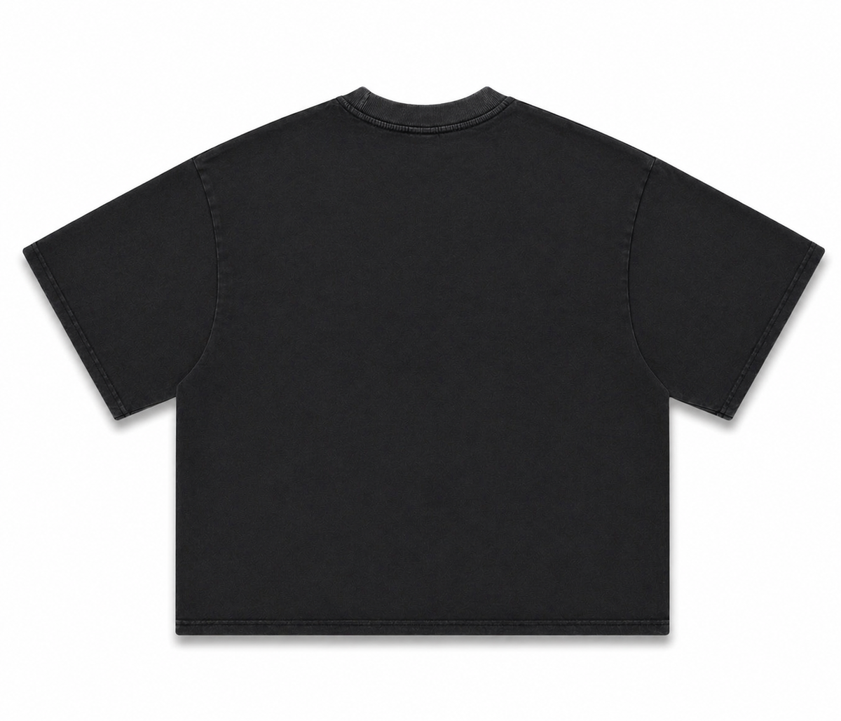 T-shirt seul de dos T-shirt gris délavé oversize streetwear paris vêtement unisexe — DIFFERENT